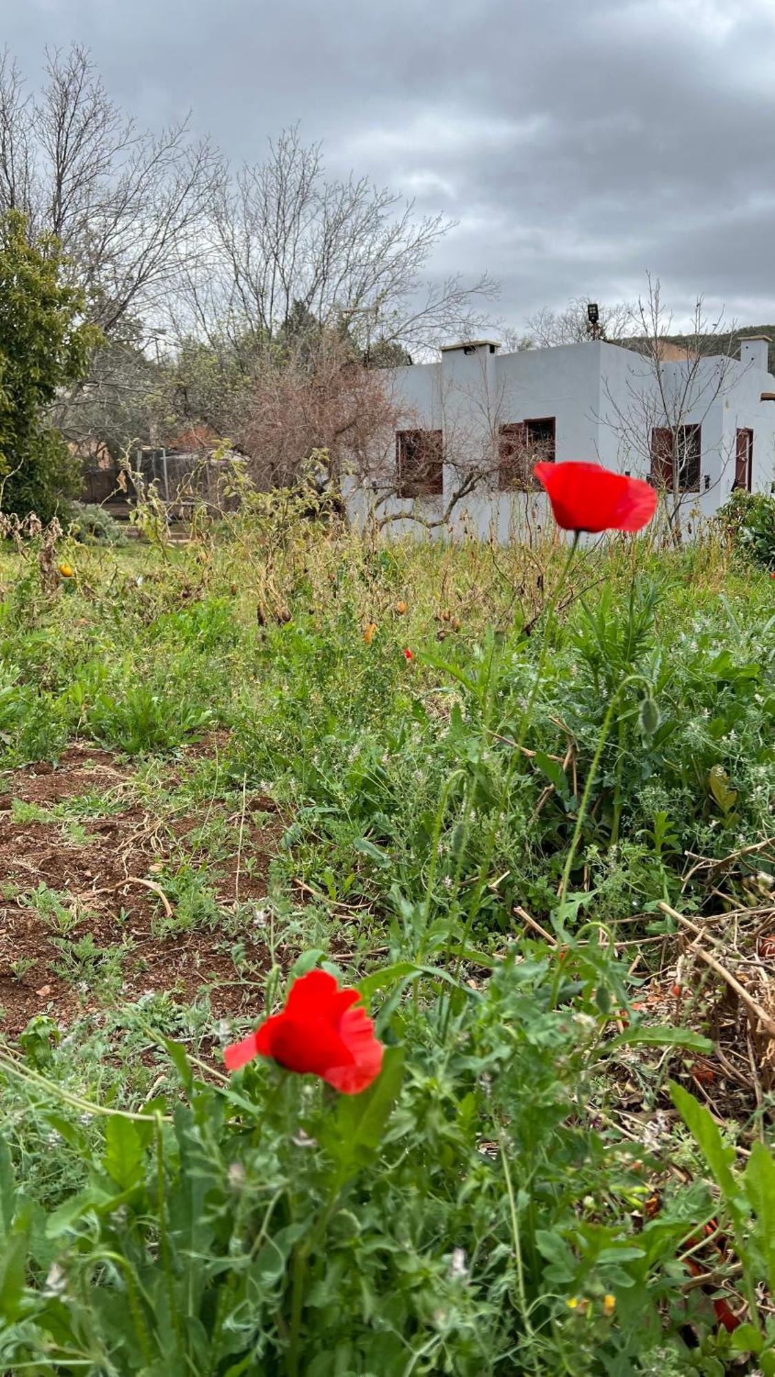 Villa Privee Reservee Aux Familles Aroggou Zewnętrze zdjęcie